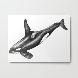 Orca killer whale ink art Metal Print