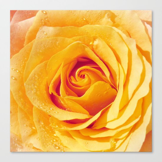 Gold Rose Bud- Yellow Roses and flowers Canvas Print