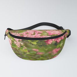 Morning Light Fanny Pack