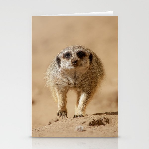 #Little #funny  #cheeky #meerkat Stationery Cards