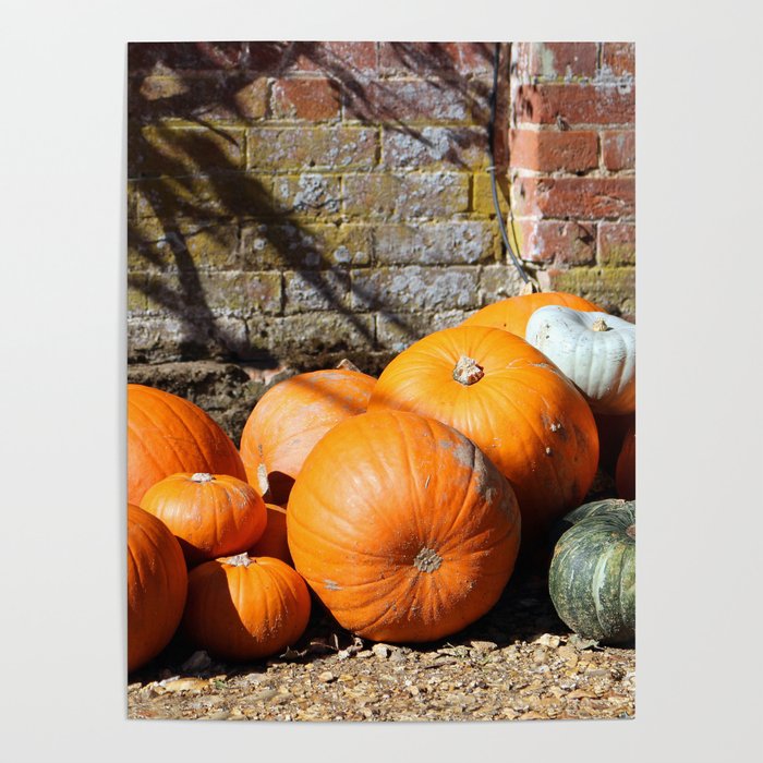 pumpkins and gourds Poster