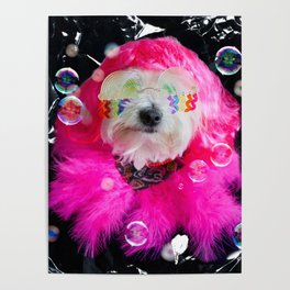 Pink Pride Wigglesworth Dog  Poster