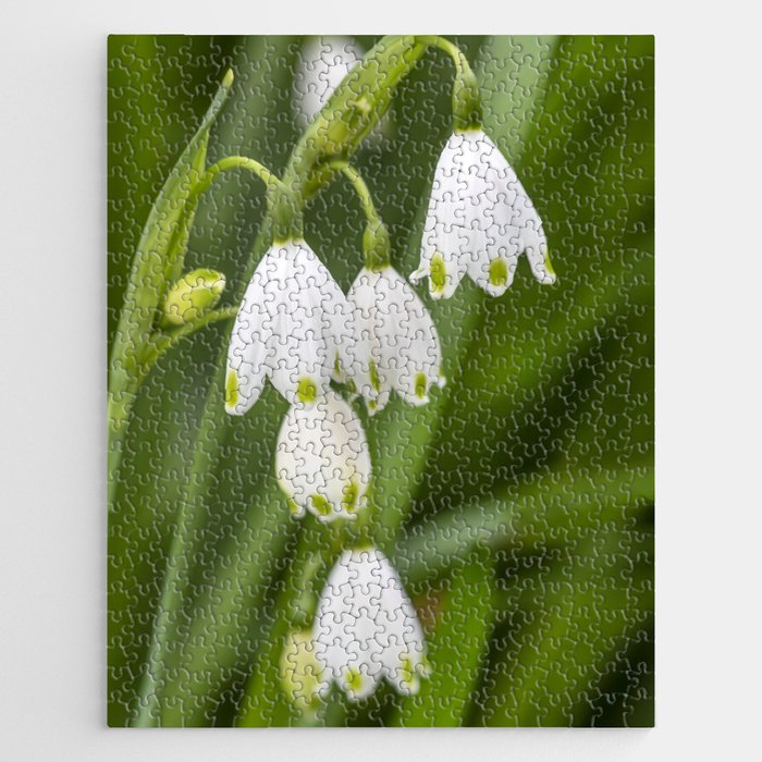 Snowdrops  Jigsaw Puzzle