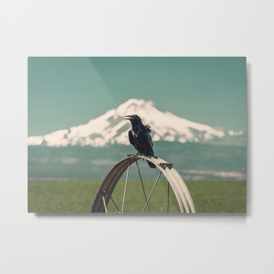 Mt. Jefferson Raven Metal Print