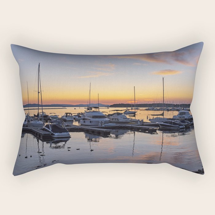 Throw pillows at burlington discount
