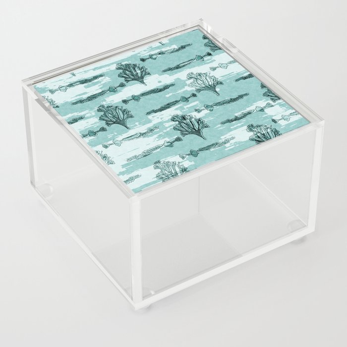 Teal Blu Watercolor Fish Under the Sea Coastal Marine Pattern. Rustic Wet Wash Beach Decor Design - 3 Acrylic Box