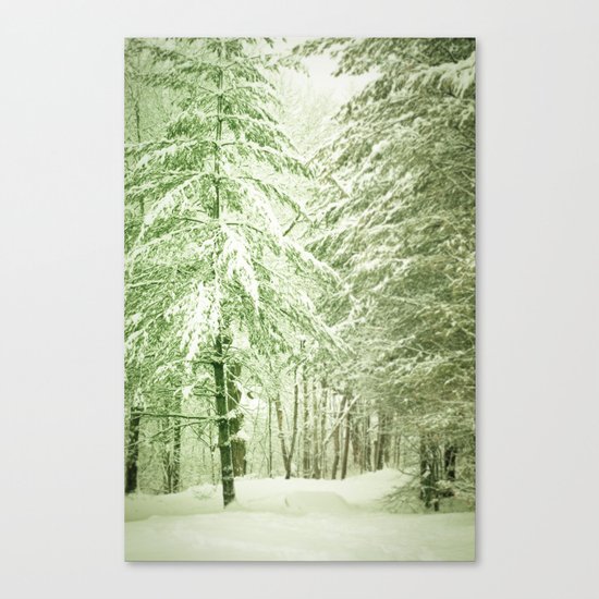 Winter Pine Trees Canvas Print