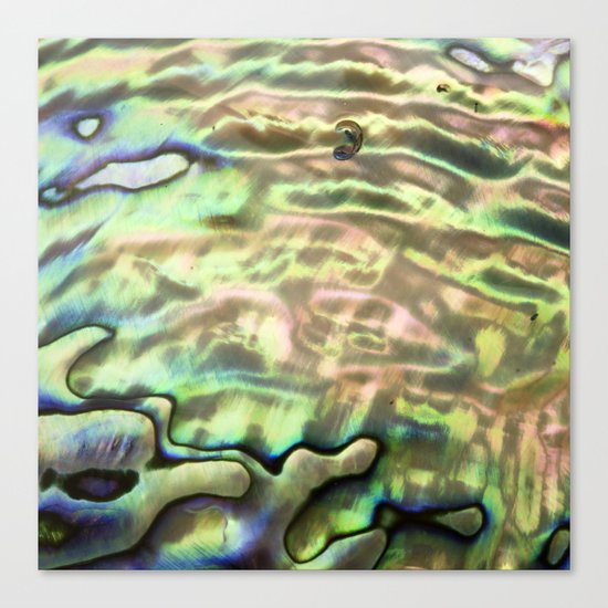 Shell texture Canvas Print