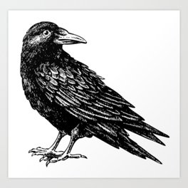 Crow/Raven Art Print