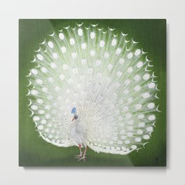 Peacock by Ohara Koson Metal Print