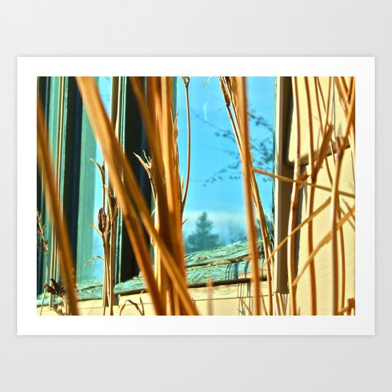 Complimentary Art Print