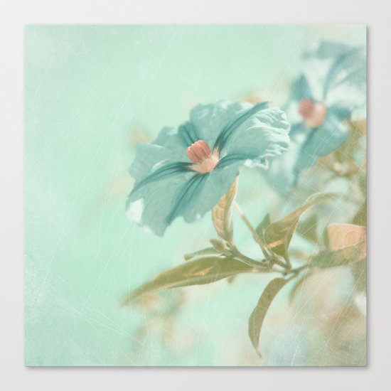 turquoise Canvas Print