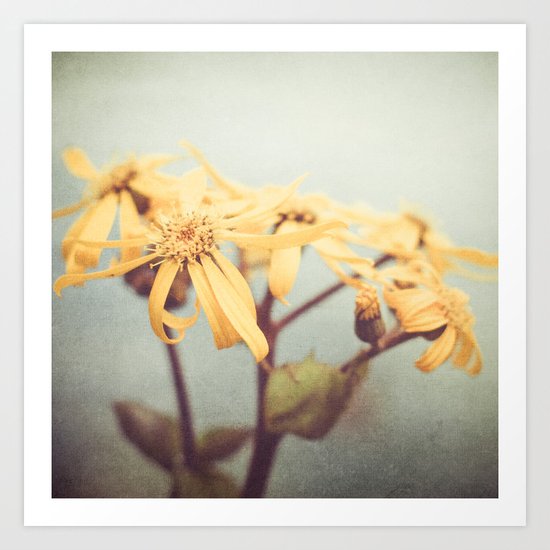 Who are you Art Print