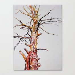 Lightning Tree Canvas Print