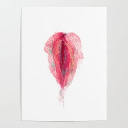 Vulva 1 Poster