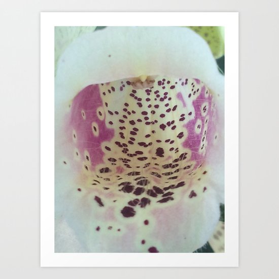 Foxglove 2 Art Print
