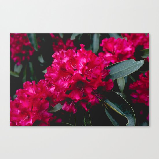 Vivid Floral Canvas Print