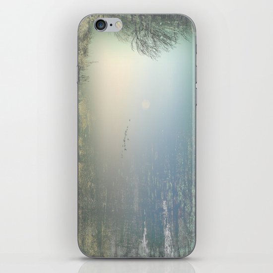Birds iPhone Skin
