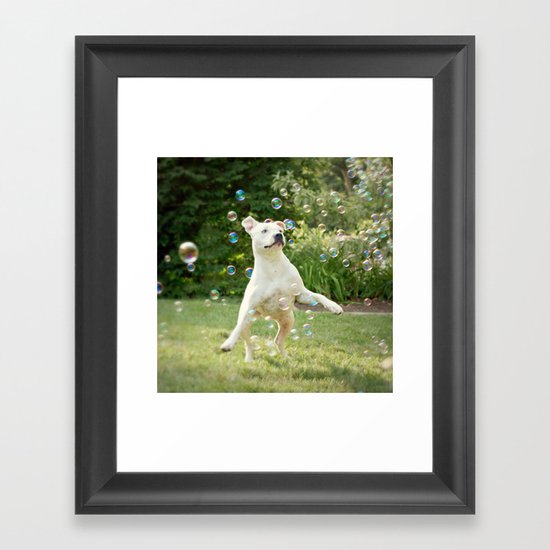 Pitbull and Bubbles Framed Art Print