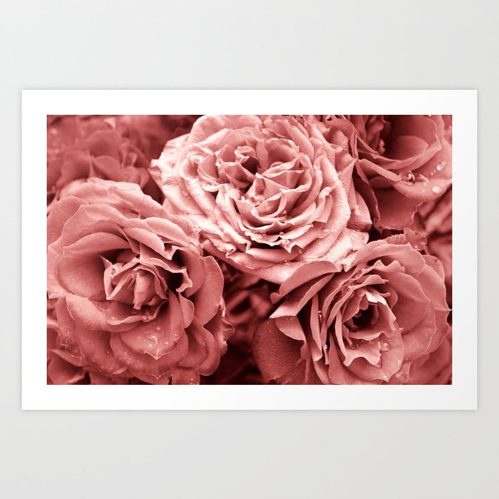 pink roses flowers close-up Art Print
by ARTbyJWP | Society6 