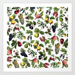 fruit explosion Art Print