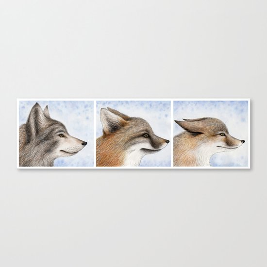 Vanishing Canadian Canids Canvas Print