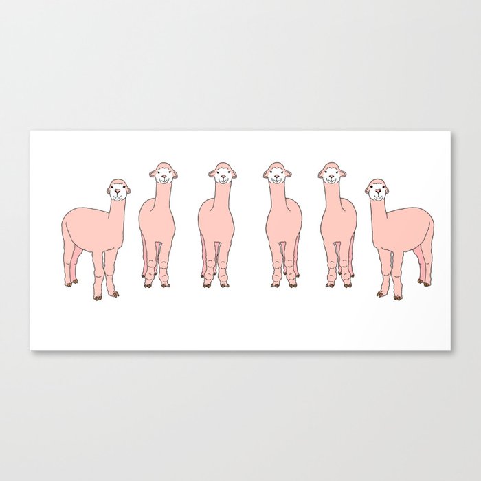 Happy Alpaca Photoshooting Canvas Print