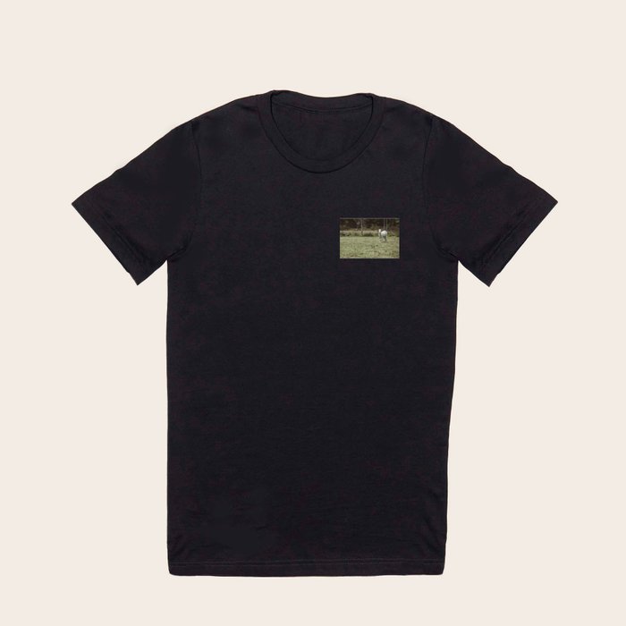 Brahman printed t sales shirt