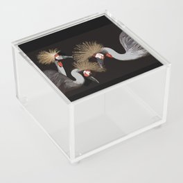 Crested cranes Acrylic Box