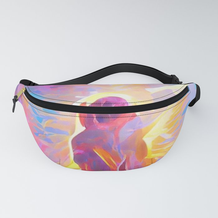 Expand Fanny Pack