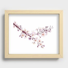 Cherry Blossom/Sakura  Recessed Framed Print