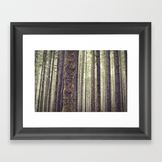 Forest Framed Art Print