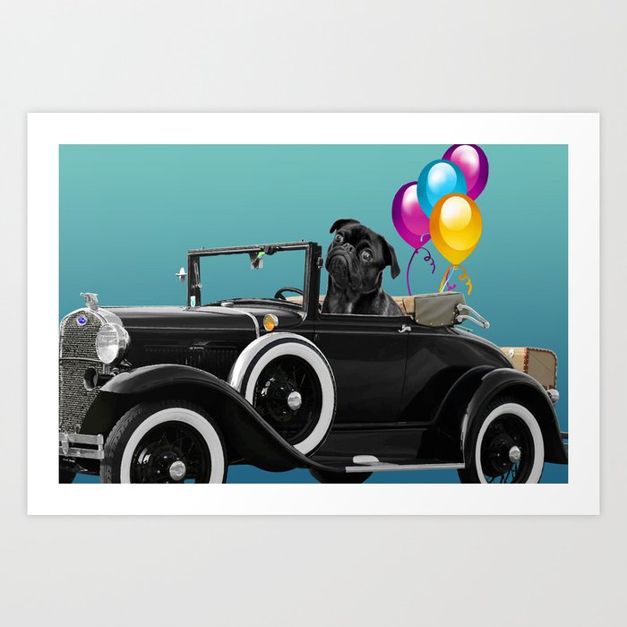 Pug sitting in cabriolet car with color Balloons  Art Print