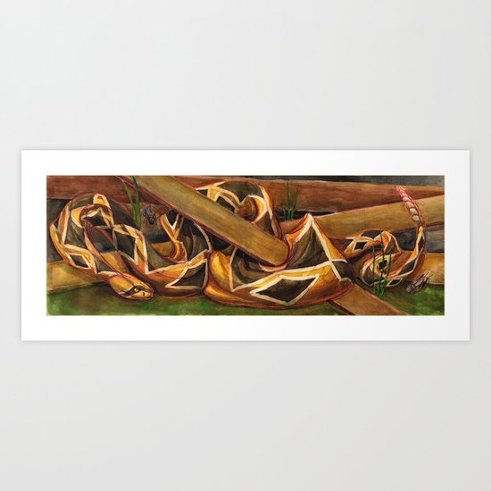 Rattlesnake Art Print