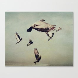 Birds in Flight - beautiful nature photograph Canvas Print