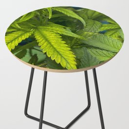 Cannabis Leaves Side Table