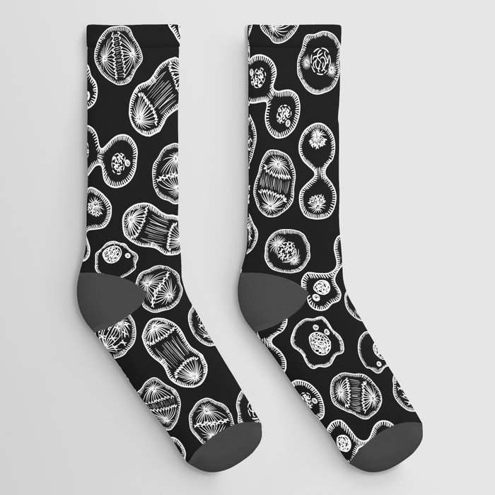 Mitosis - White on Black Socks