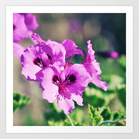 Colorful Art Print