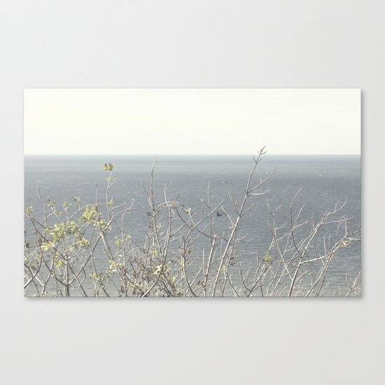 Branches at the sea Canvas Print