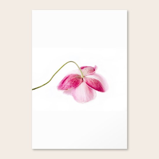 Ephemeral Canvas Print