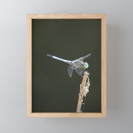 Dragonfly 1 Framed Mini Art Print