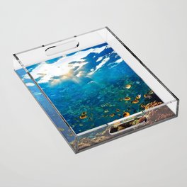 fish Acrylic Tray