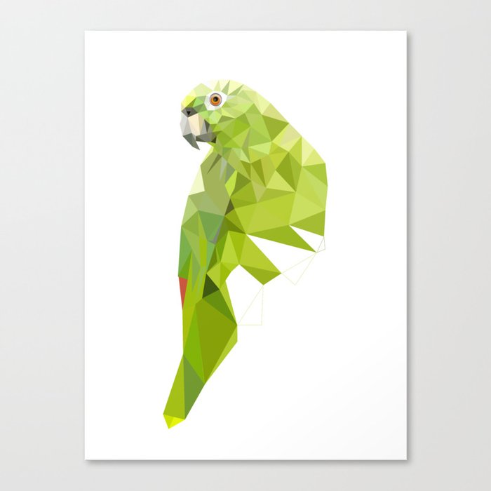 Parrot art Southern mealy amazon parrot Leinwanddruck Parrot art Southern mealy amazon parrot Leinwanddruck