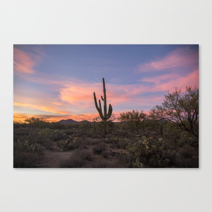 Desert sunset saguaro Canvas Print