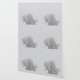 Lone Tree under Snow Wallpaper