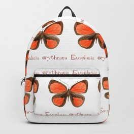 Butterfly - Euselasia erythraea Backpack | Drawnfont, Pattern, Rainforest, Fieldbook, Wild, Butterfly, Painting, Science, Euselasiaerythraea, Specimen 