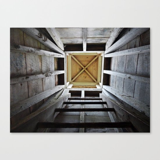 Up the Rung Ladder Canvas Print