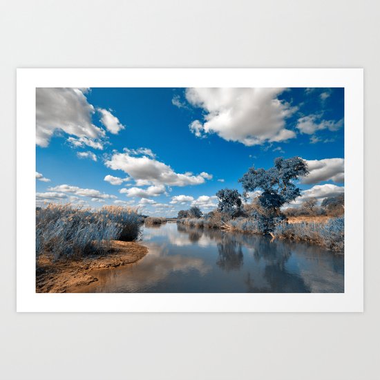 Kruger Park Landscape - Winter Blue Art Print