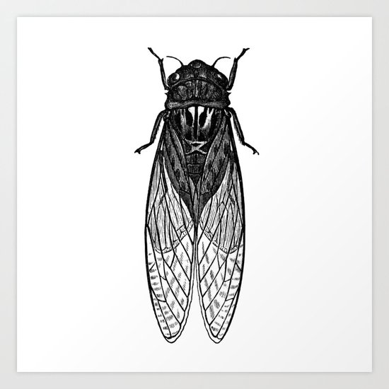 Fly Art Print