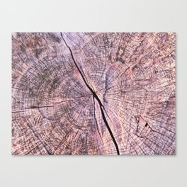 Crack in wood Canvas Print